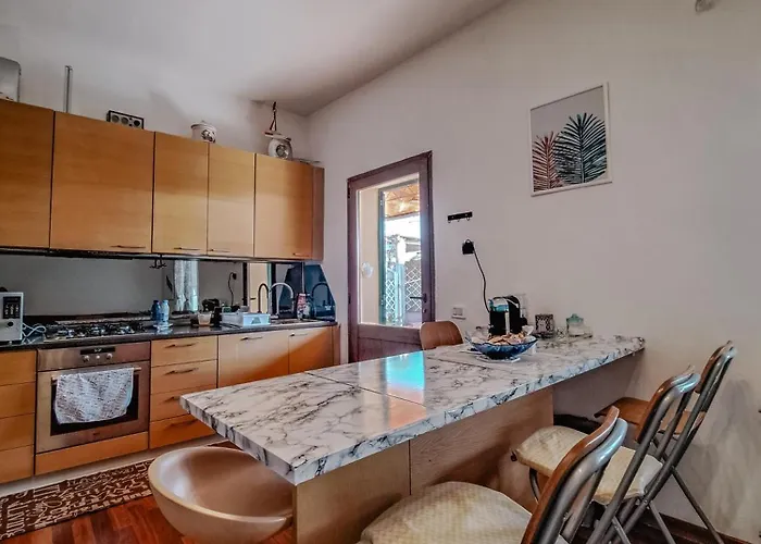 The Shell Nyaraló *