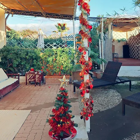 The Shell * Vallecrosia