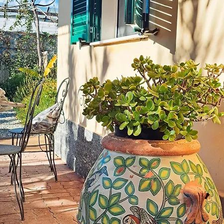 The Shell Vakantiehuis